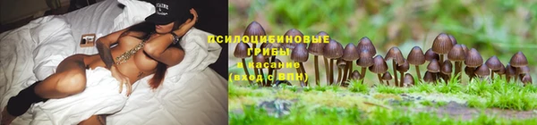 кокс Володарск