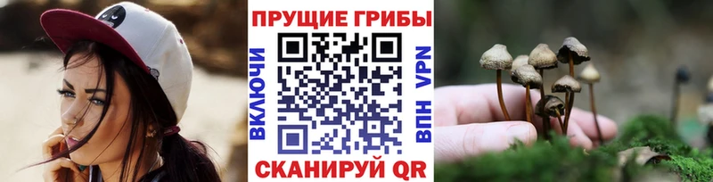 Псилоцибиновые грибы прущие грибы  Купить  Верхняя Салда 